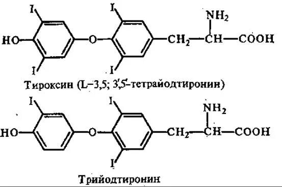 Тироксин ферменты. Схема синтеза тироксина. Синтез йодтиронинов биохимия. Тироксин и трийодтиронин схема синтеза. Схема синтеза йодтиронинов биохимия.