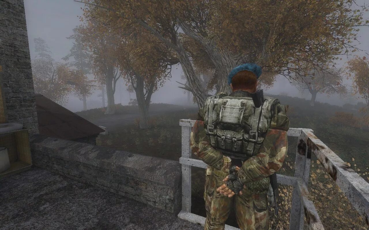 Мод менеджер сталкер. Call of chernobyl teamlite. билдовские военные сталкер. сталкеры из call of chernobyl военные. stalker call of chernobyl военные сталкеры.