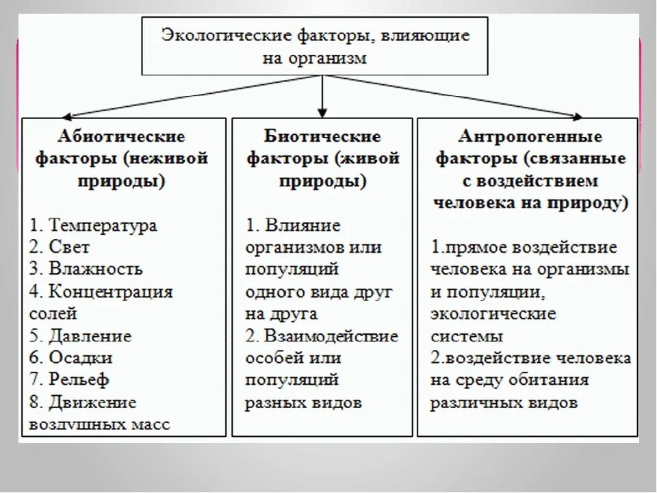 Примеры факторов связанные с человеком. Биология 5 кл экологические факторы среды. Факторы окружающей среды 5 класс биология. Экологические факторы живой природы 5 класс биология. 5 Класс биология экологические факторы и среда обитания организмов.