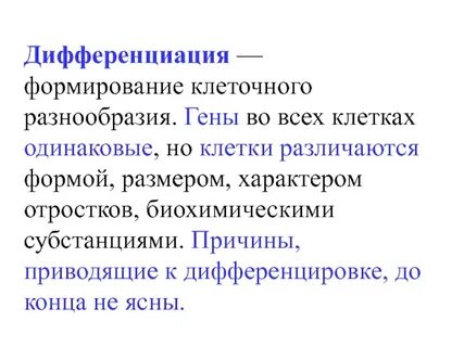 Дифференциация развития