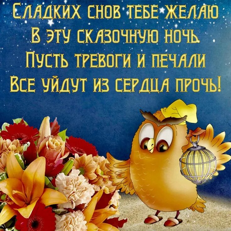 Тебе тоже спокойной ночи: найдено 90 картинок
