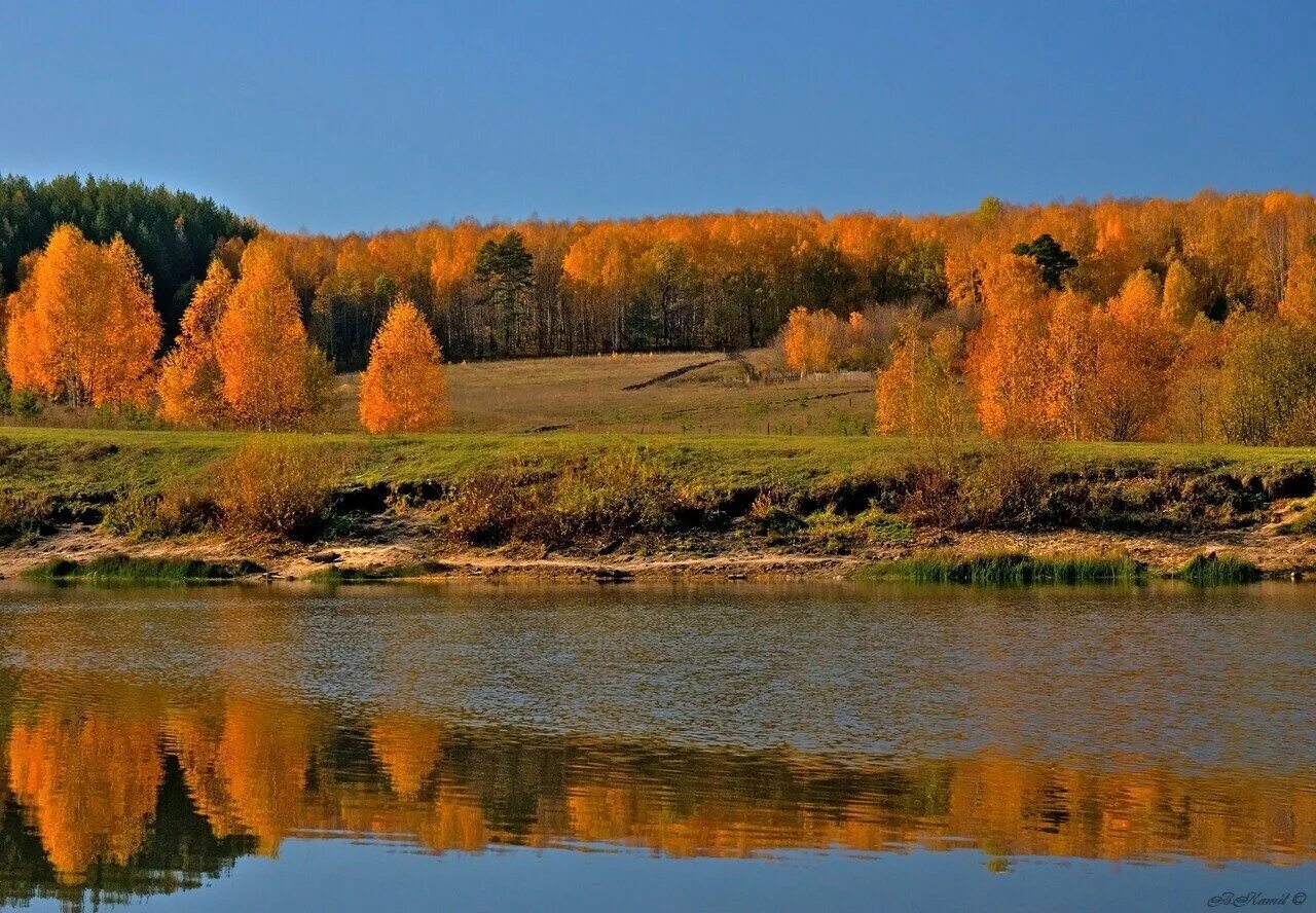 Родной край осенью. Осиновое озеро Ульяновск. Природа Ульяновской области Волга. Осиное озеро в Ульяновске. Ульяновск осень Волга.