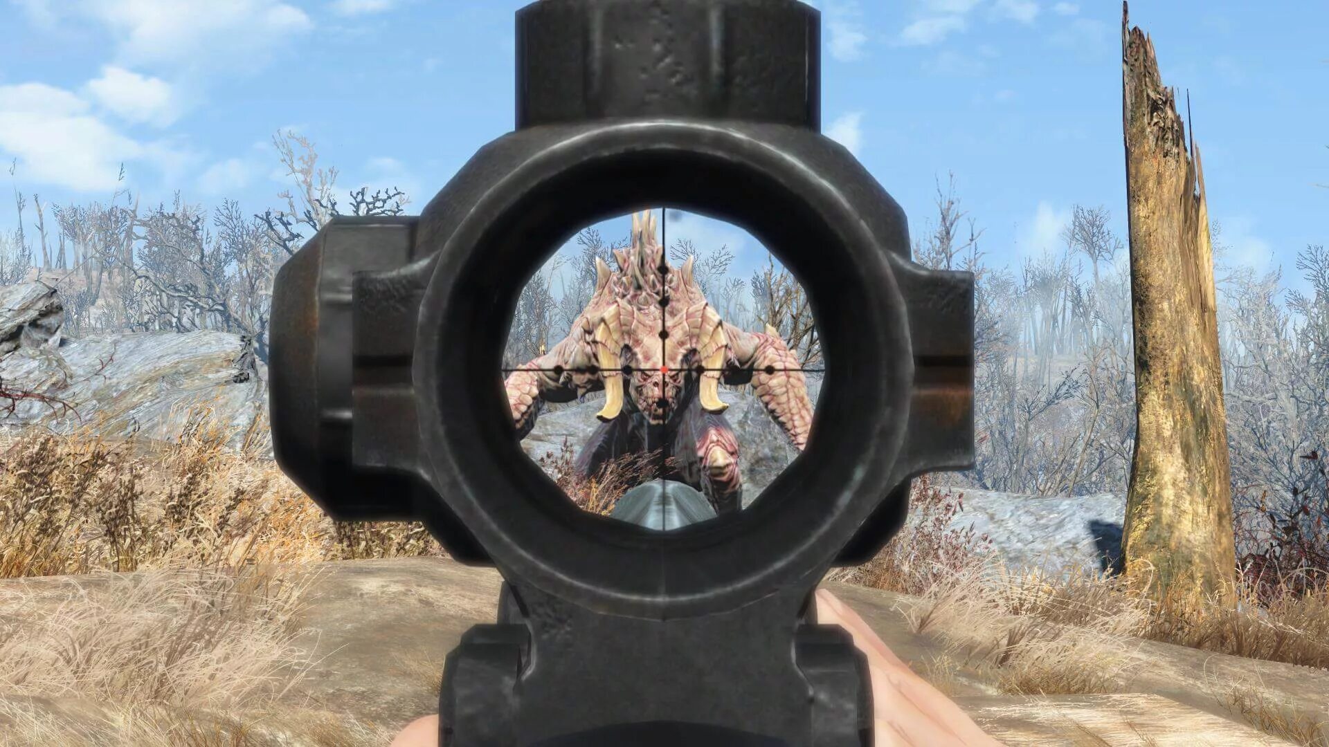 See through scopes