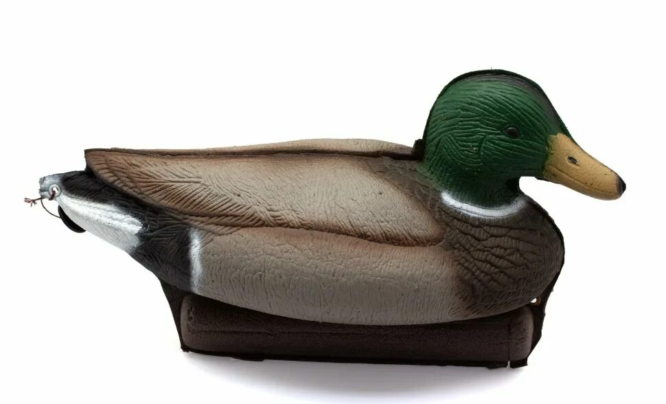 Сминаемые чучела. Утка чернеть чучело. Сминаемые чучела. Снемаемые? учела уток софпласт. Чучела и профили уток софтпласт отдыхающих.