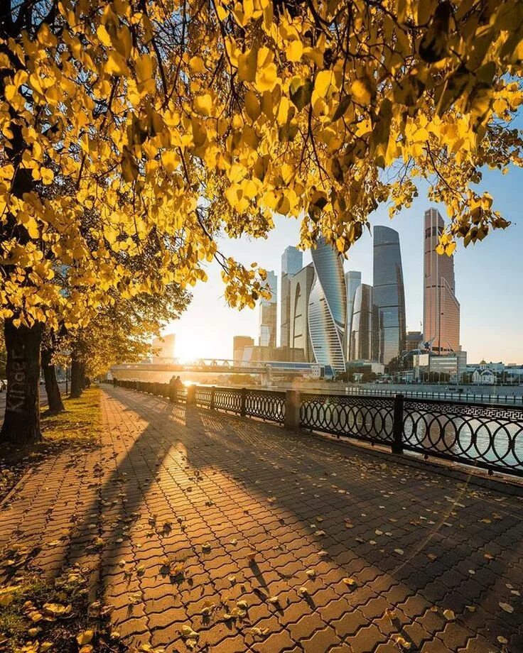 Fall's full color palette: where to find the most beautiful alleys in Moscow par