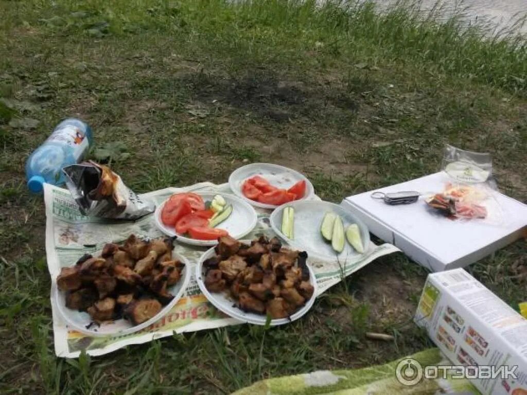 Шашлык на финском заливе. Шашлыки на заливе. шашлыки на финском заливе. шашлыки на пруду. шашлык у водоема.