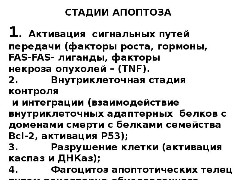 Причины и механизмы апоптоза клеток. Апоптоз стадии. Механизм развития апоптоза. Вторая стадия апоптоза. Этапы апоптоза патофизиология.