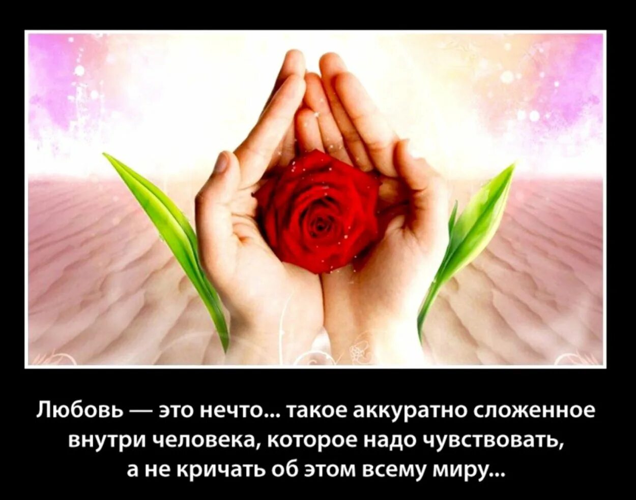 День глобальной любви картинки. День глобальной любви. день глобальной любви фото. женщина и цветы поговорки. ошо про ревность.
