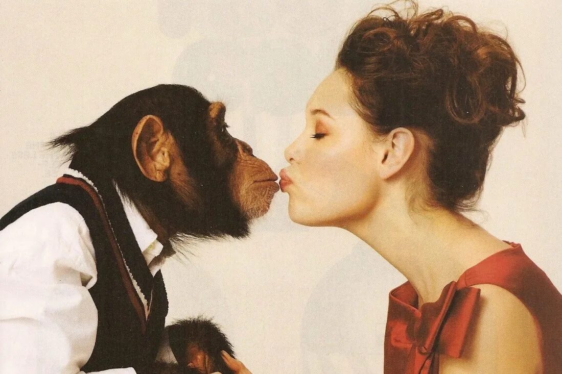 Мужчина обезьяна любовь. Поцелуй обезьяны. Девушка и обезьяна. Девушка мартышка. Обезьяна обнимает девушку.