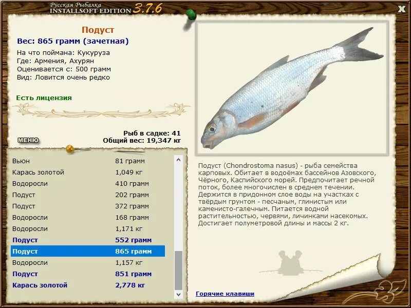 Подуст русская рыбалка