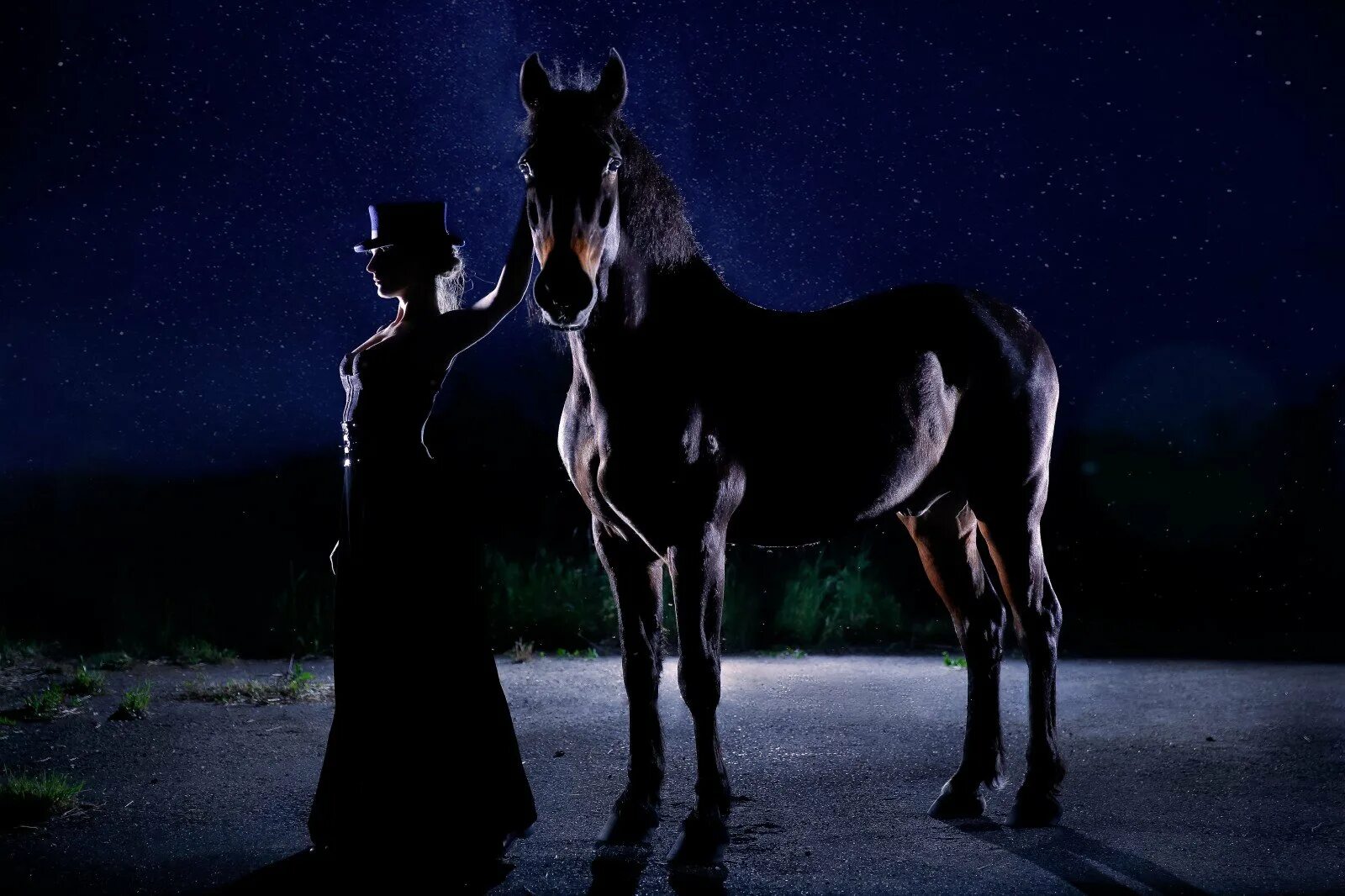 Лошадь в темноте. Конь ночью. Лошади в ночном. Ночная кобыла. В ночное на лошадях.