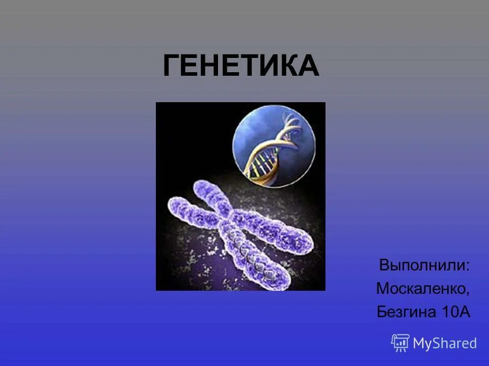 Проект на тему генетика. Проект на тему генетика. Генетика презентация. Изучение механизма наследственности. Что изучает генетика в биологии.