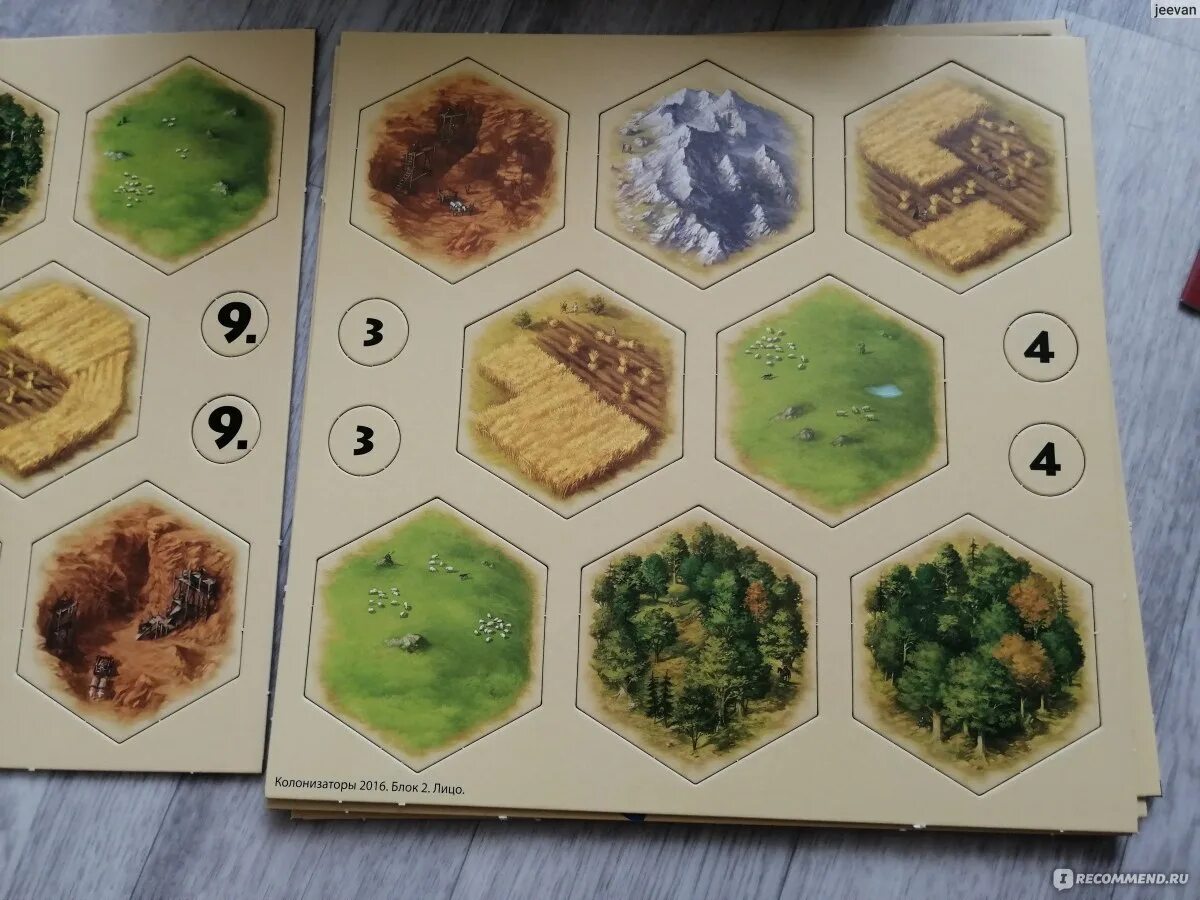 Колонизаторы это. Колонизаторы Siedler Catan. Колонизаторы джунгли. Колонизаторы Limited Edition. Игра Forest колонизаторы.