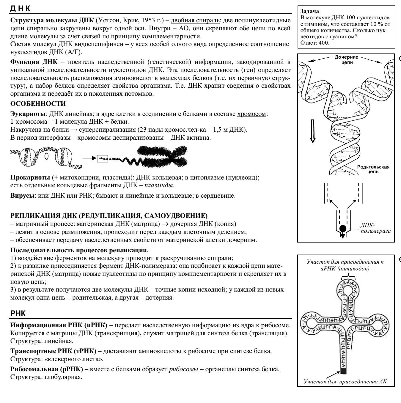 ДНК ЕГЭ биология. Задачи на ДНК И РНК ЕГЭ биология. ДНК ЕГЭ. Схема ДНК ЕГЭ биология.