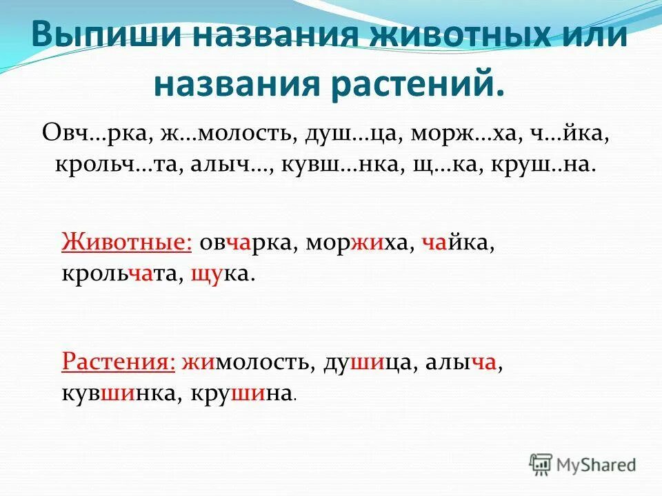 выпиши названия животных. выпиши названия животных. выпиши названия животных. названия лесных животных для детей. выпиши из текста названия животных.
