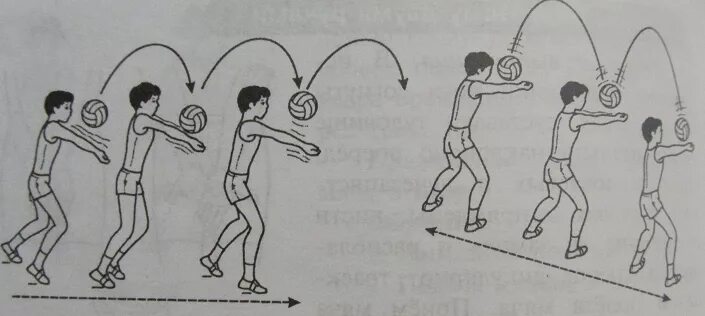 Приём мяча снизу в паре. Подводящие упражнения прием и передача мяча сверху и снизу. Передача мяча снизу над собой в волейболе. Передача мяча двумя руками снизу в парах в волейболе.