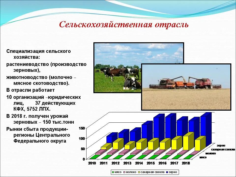 В чем различия специализации сельского хозяйства. Отрасли сельского хозяйства. Специализация сельского хозяйства. Специализация сельскохозяйственного производства. Специализация животноводства.