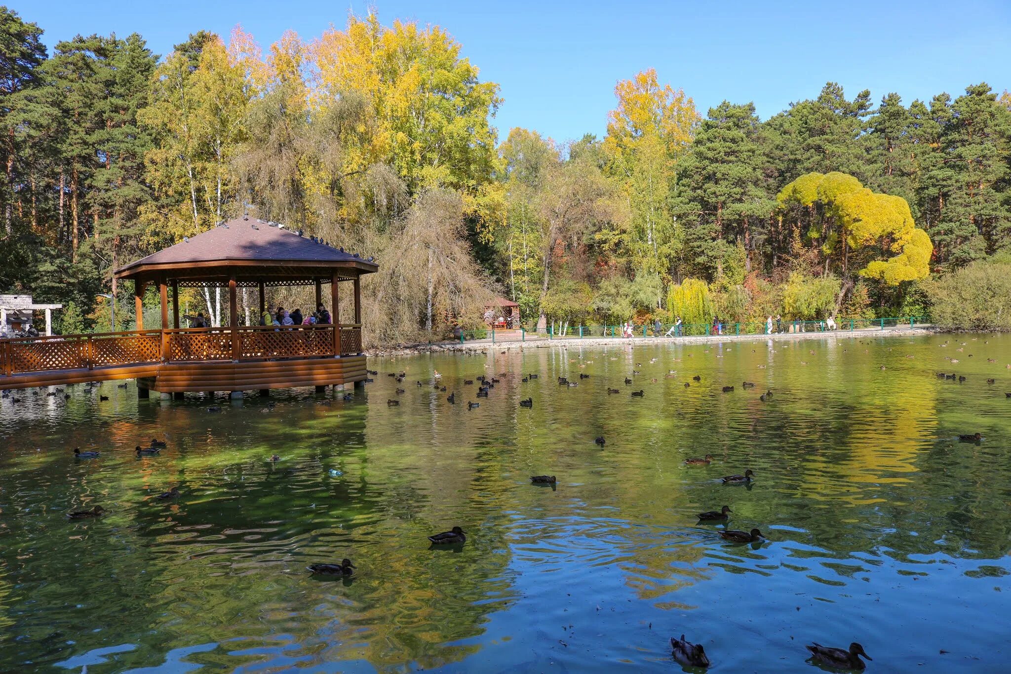А шило новосибирск. Зоологический парк в новосибирске. Звери в новосибирском зоопарке. Новосибирский зоопарк имени р. Зоологический парк в новосибирске.