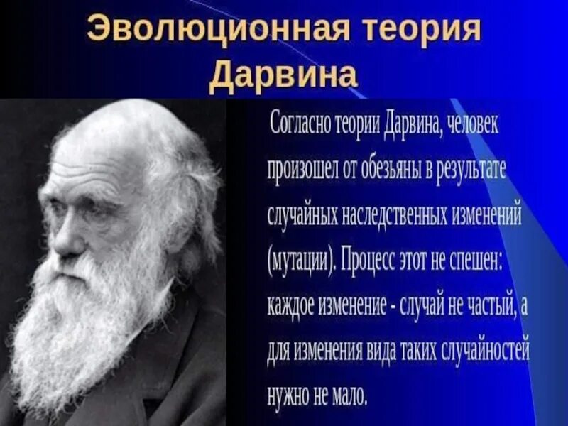 Эволюционная теория Чарльза Дарвина. Становление эволюционной теории Чарльза Дарвина. Эволюционные взгляды Чарльза Дарвина. Адаптации дарвин