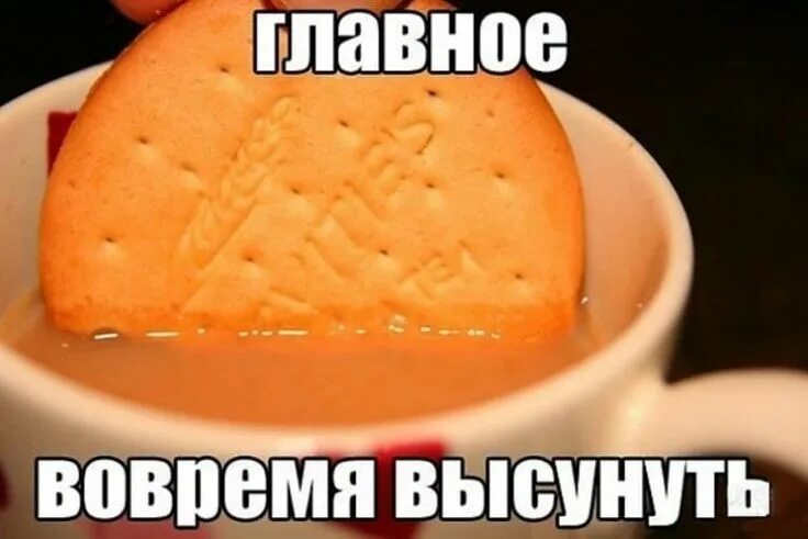 Мемы про доброе утро смешные и прикольные Доброе утро! Начинаем день бодро!