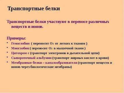 Белки переносят