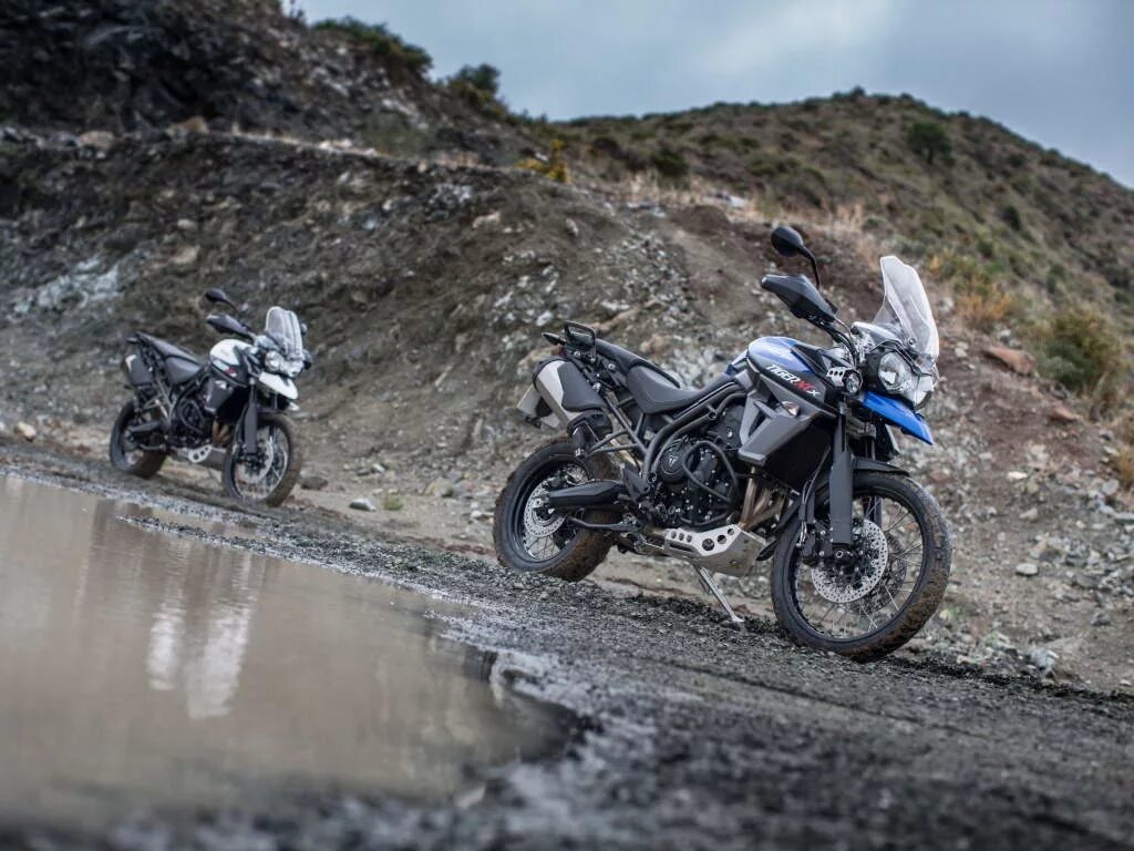 Triumph tiger 1050 front. мотоцикл triumph tiger 800 xc. Triumph tiger 800 xrx low. Triumph tiger explorer. Triumph tiger 1050.
