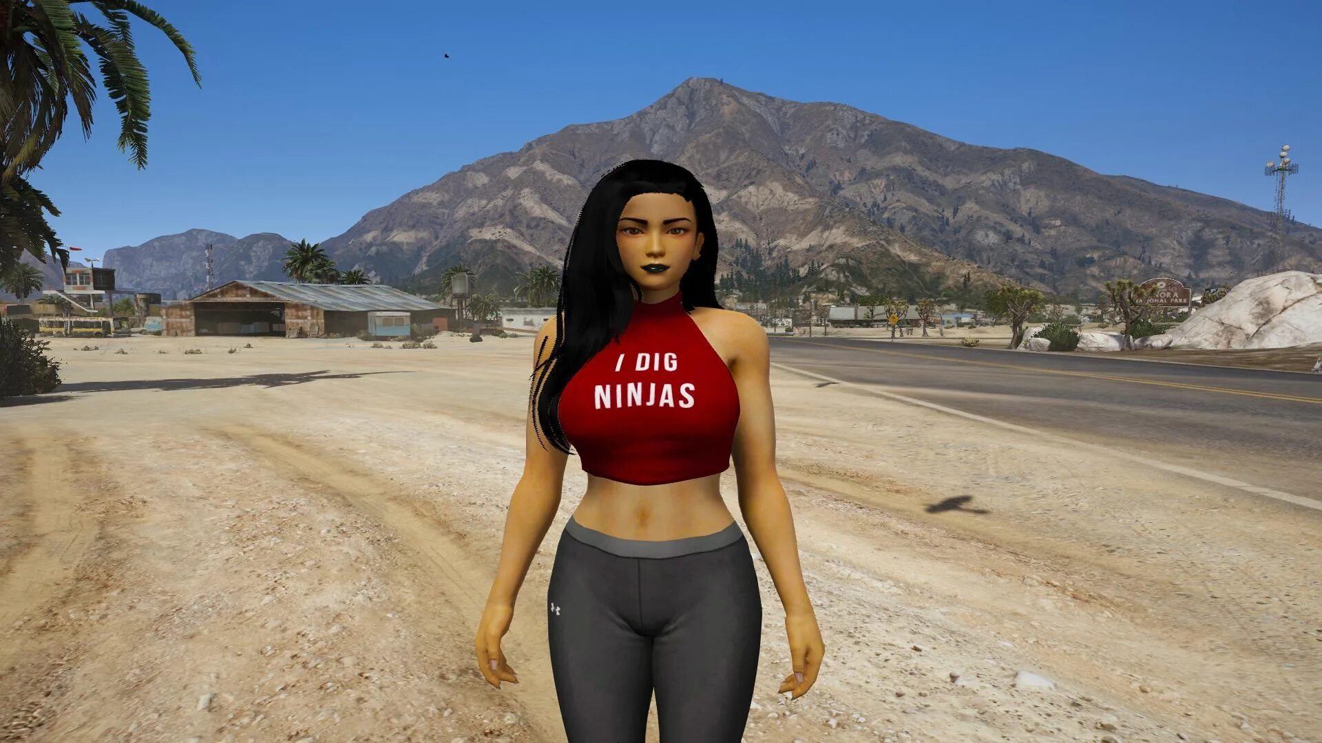Девушки играющие в гта 5. Самые красивые девушки в fnf. гта девушки. gta 5 девушки. красивые девушки гта 5.