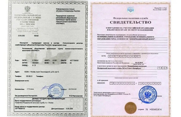 Инн 6162089317. ИНН патент. Оригинал ИНН. Иностранный идентификационный номер налогоплательщика. ИНН на патенте фото.