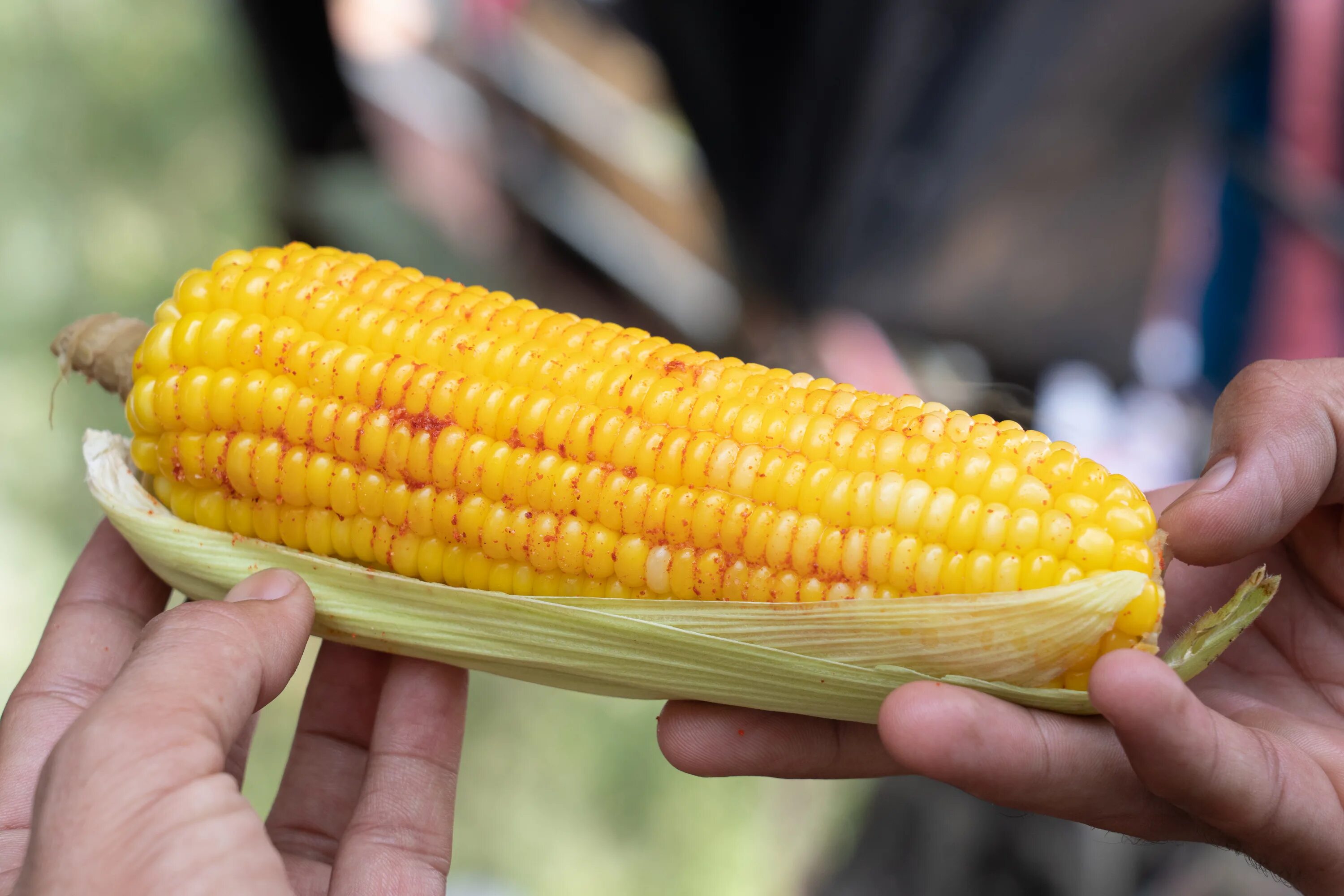 Кукуруза доле. Boiled Corn. Кукурузы else Corn 40гр. Sweet Corn. Boiled Corn COBS.