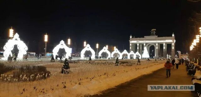 Москва вднх улица. Вднх улица. люди на улице вднх. смешные фотографии с вднх. вднх фотосессия на улице.