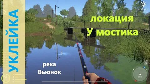 Где ловить на вьюнке