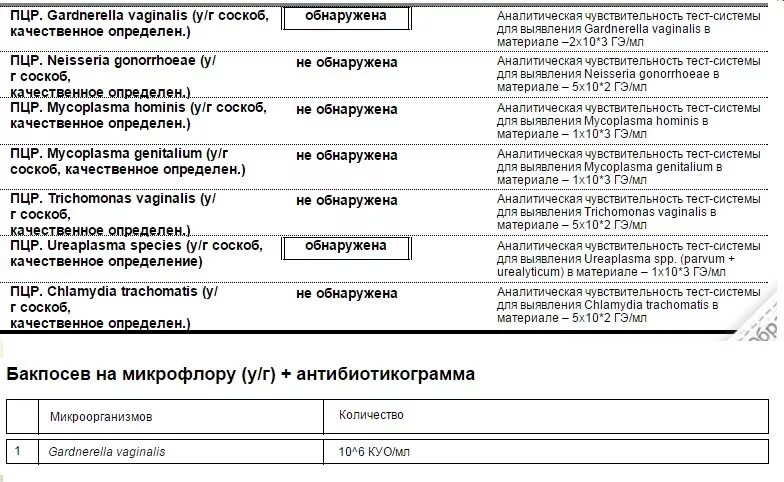 Что значит gardnerella vaginālis у женщин