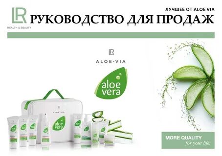 Алоэ интернет