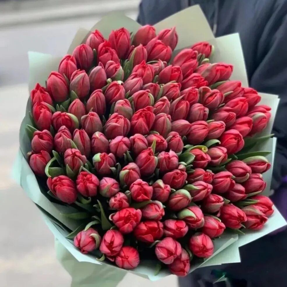 Тюльпаны купить в тольятти
