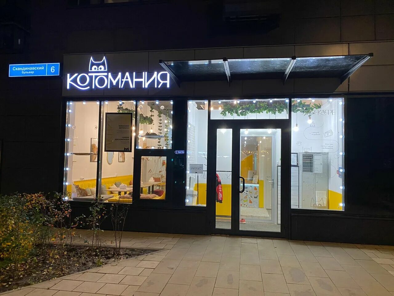 Котомания кафе. Котомания москва. Котомания кафе. Котомания коммунарка. Кошка релакс.