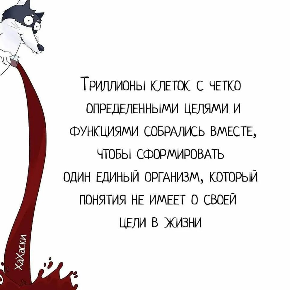 Когда главный оптимист будет сидеть. Интроверт высказывания. Цитаты про интровертов. Фразы об Интровертах смешные. Статусы про интровертов.