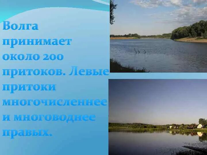 О волга колыбель моя. Притоки Волги. Левые притоки реки Волга. Притоки Волги в Саратовской области. Самый большой приток Волги.