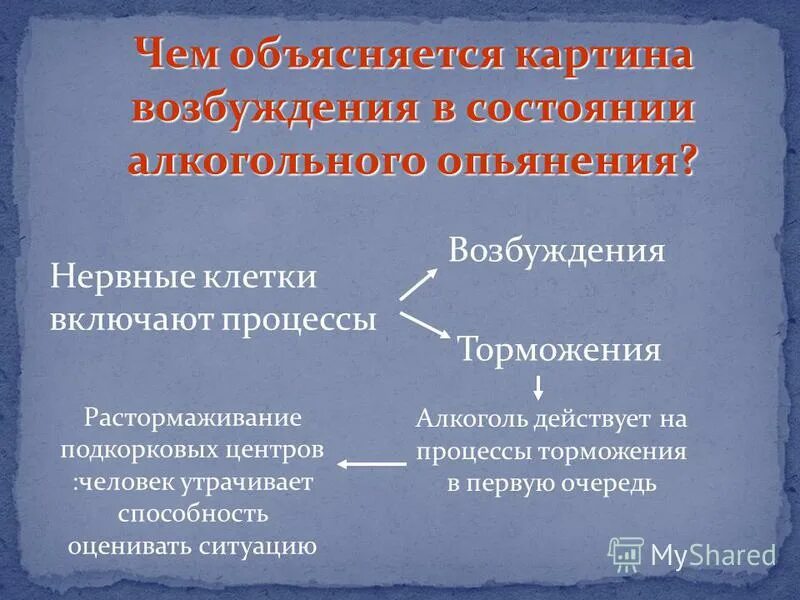 Чем объясняется. Процессы возбуждения и торможения. Соотношение процессов возбуждения и торможения. Процесс возбуждения и торможения в клетках. Соотношение возбуждения и торможения нервных процессов.