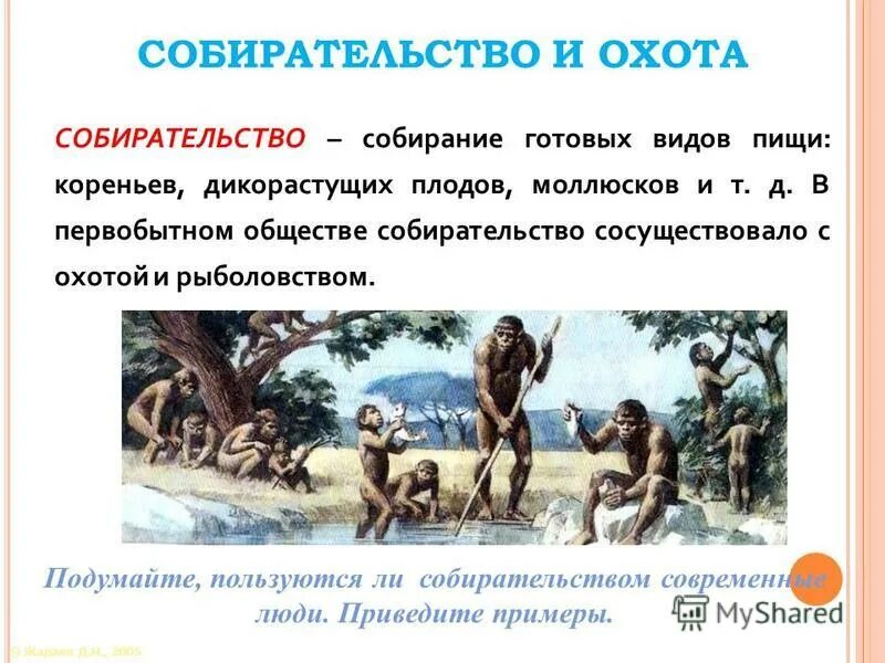 собирательство. древние люди собирательство. собирательство в экологии. собирательство первобытных людей. австралопитеки зденека буриана.