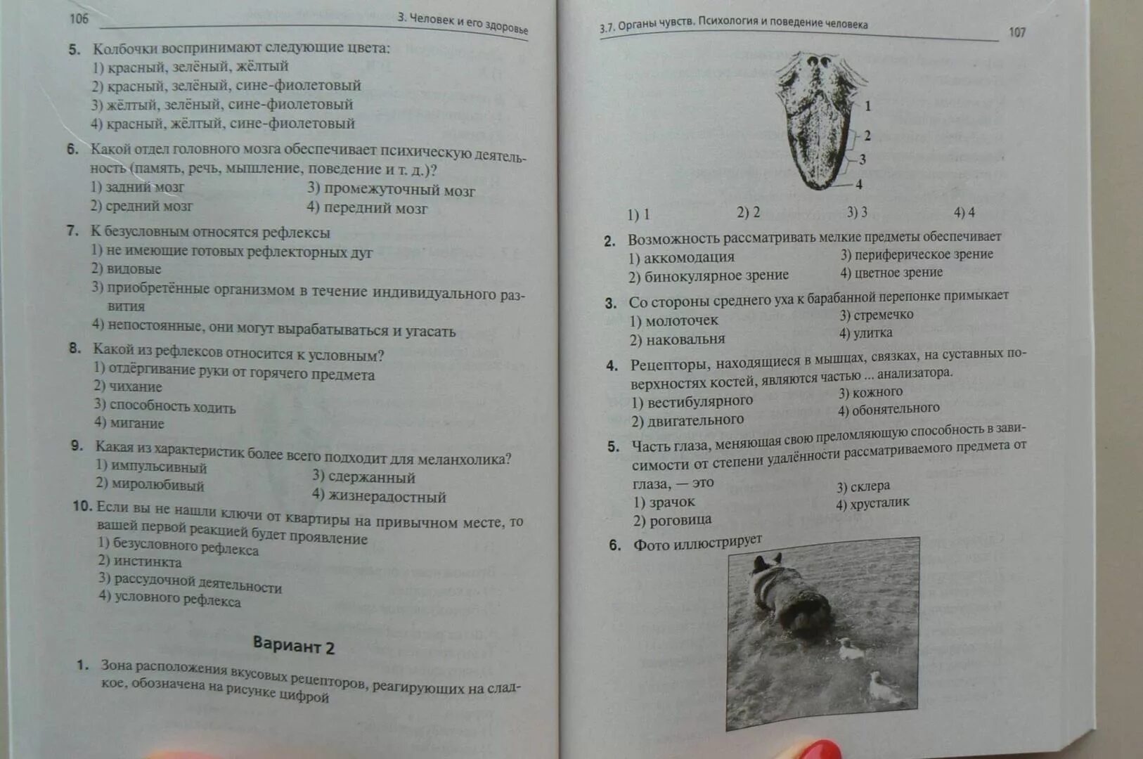 Биология 9 класс рт. ЕГЭ биология тематический тренинг. ОГЭ биология 9 класс. Кириленко, Колесников, Даденко: ОГЭ 2021 биология. 9 Класс.. ОГЭ по биологии Кириленко 2019 тренинг.