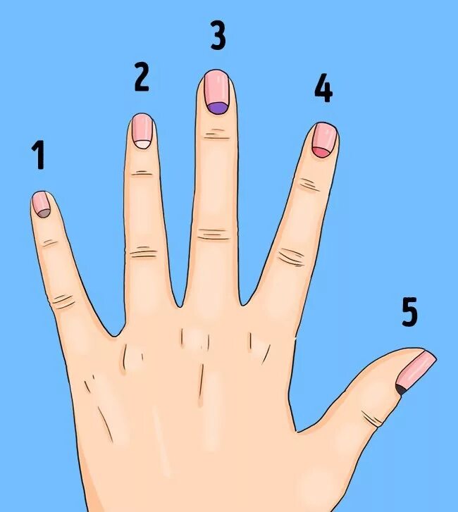 заболевания по ногтям рук. диагностика по ногтям. заболевания по ногтям рук. что обозначает ногти на руках. что обозначает ногти на руках.