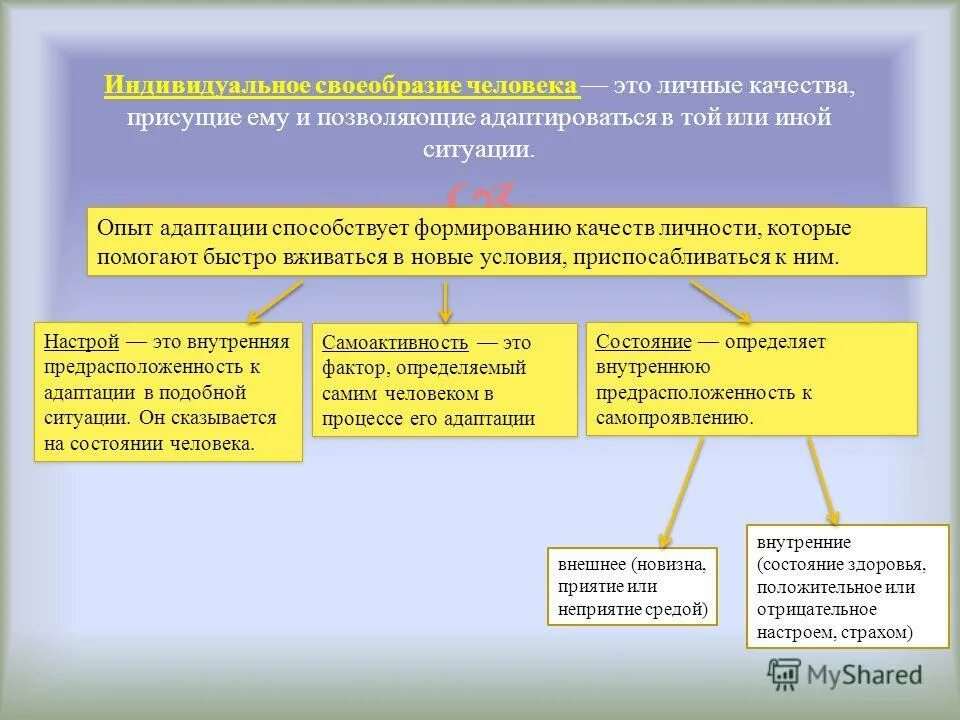 приспособления человека к условиям среды