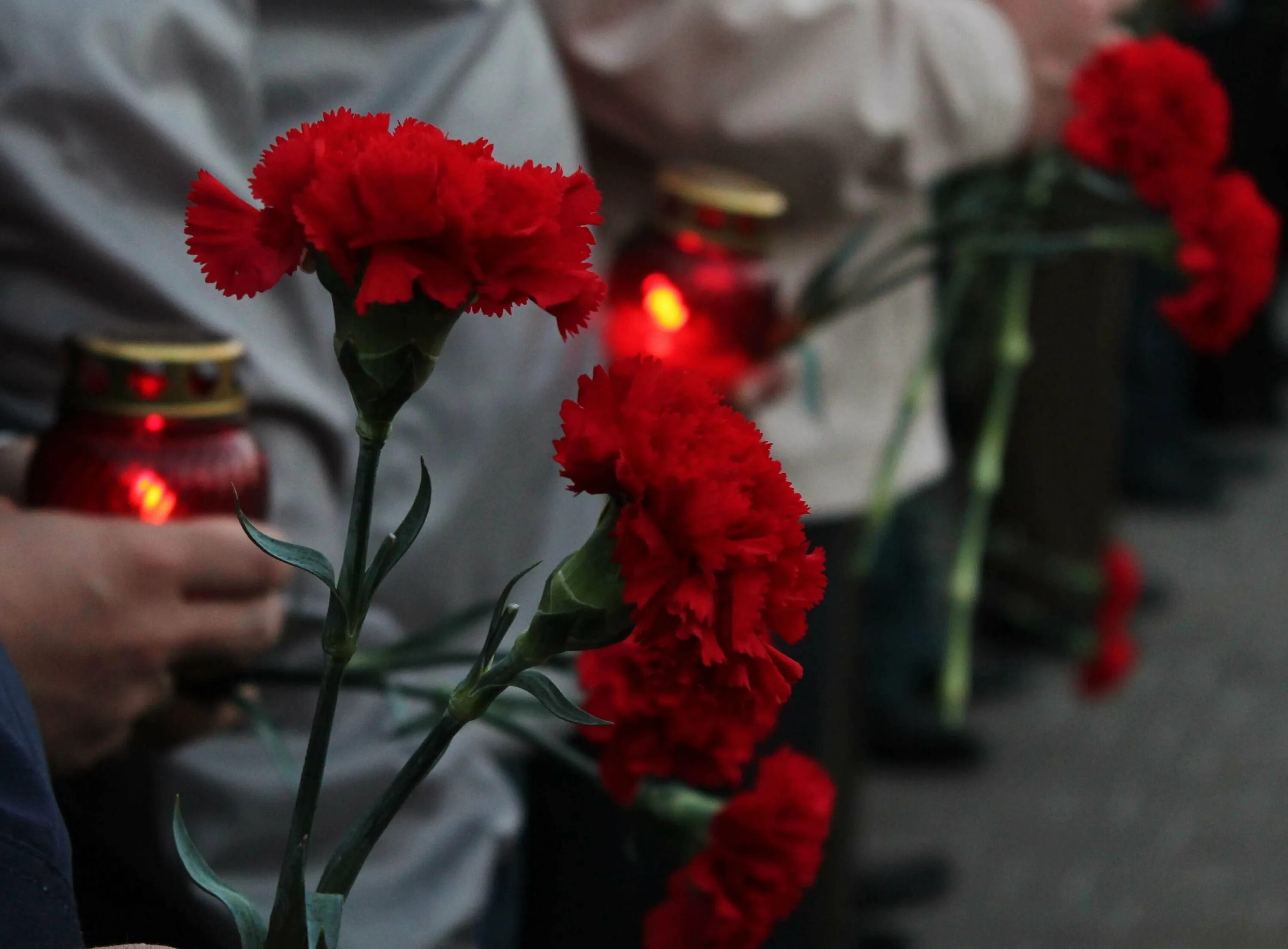 Гвоздики память. Гвоздики траур. Красные гвоздики. Свеча и гвоздики.