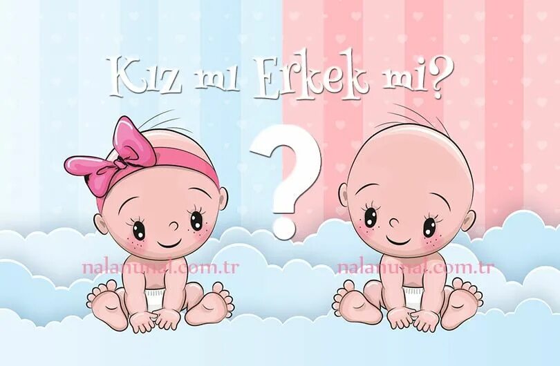 Том мальчик или девочка. Том мальчик или девочка. Прикольные рисунки с надписями. Налпист кто будет мальчик или девочка. Какие хромосомы у мальчиков и у девочек.