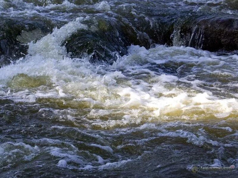 Включи течение воды. Река Бембоя Ленинградская. В течении реки. Сильное течение. Течение воды.