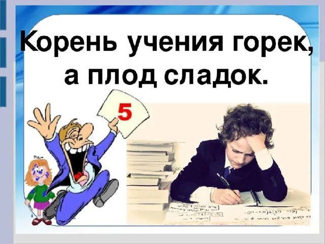 Корень учения горек да плод его сладок. Корень учения горек а плод. Пословица корень учения горек да плод его сладок. Корень учения горек но плоды его Сладки. Корни образования горькие но плоды сладкие