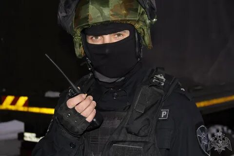 Бойцы собр