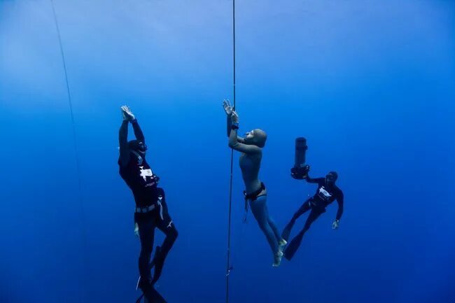 Рекорд погружения без акваланга женщины. Уильям Трабридж Underwater. Свободное погружение. Самое глубокое погружение без акваланга. Модели погружения.