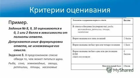 Ответ гласит