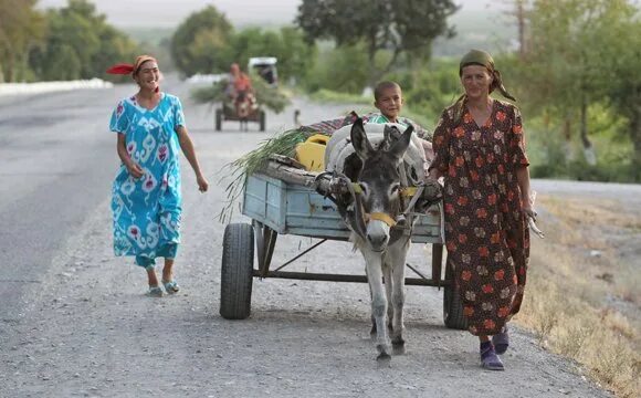 Таджикский менять. Жена таджика. Цыгане люли. Таджикские женщин на Ишаках. Таджики на ослах в кишлаке.